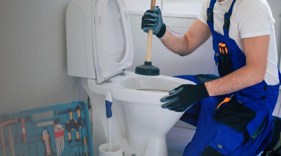 Local annual plumbing maintenance in Marne, MI